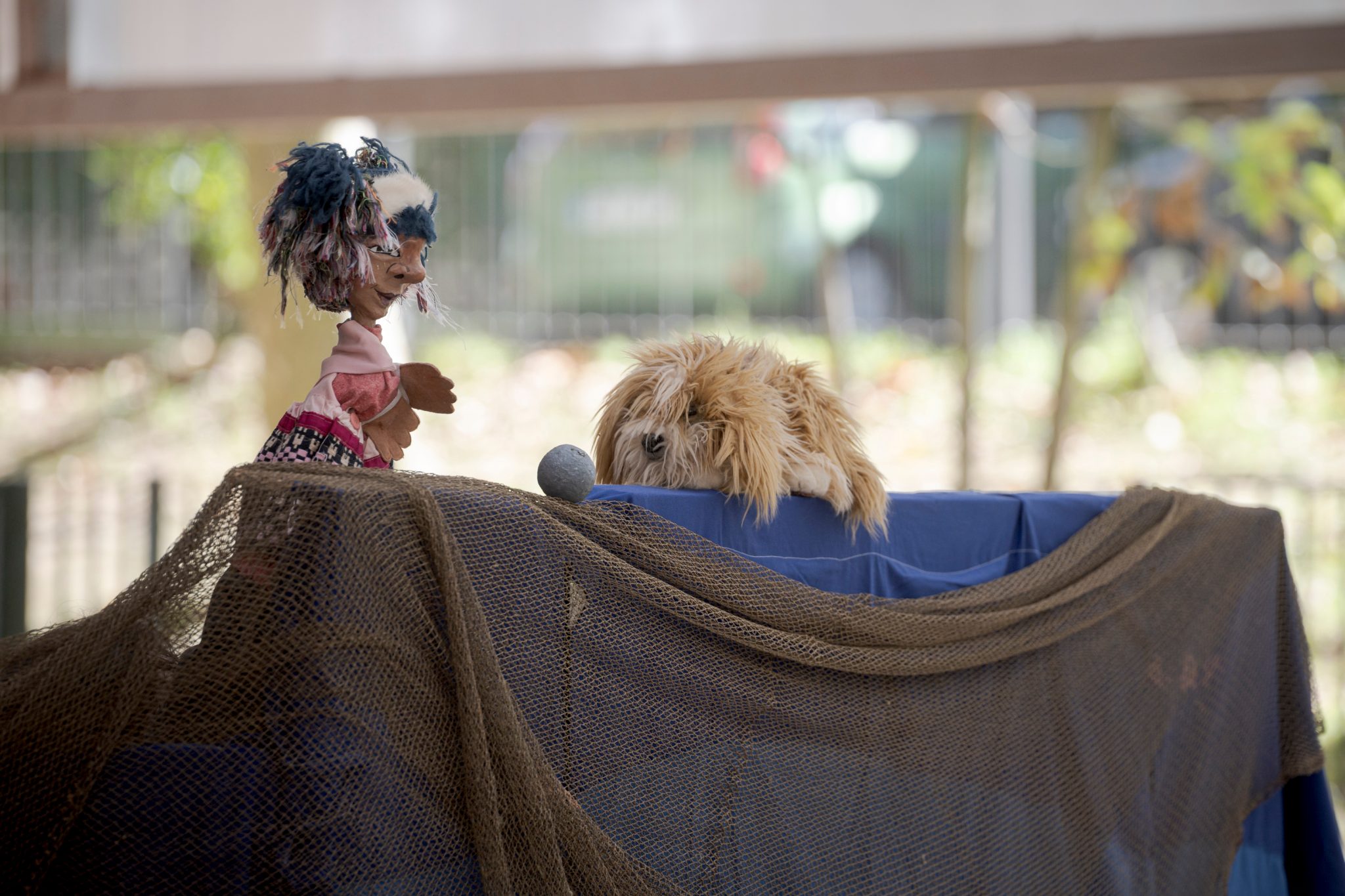 Baleazaleak emanaldiko momentu bat Toki Alai eskolan Argazkia: Gari Garaialde / Bostok Photo